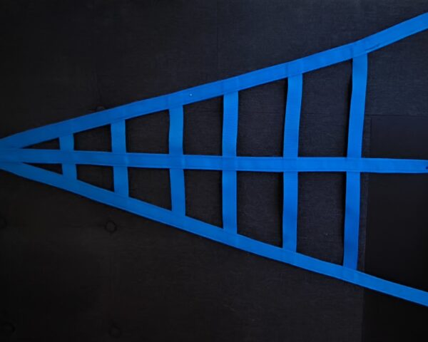 Blue SimRace Net with Quick-Release Buckle – 25mm, Double-Sided. - Image 5